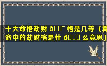 十大命格劫财 🐯 格是几等（算命中的劫财格是什 🐅 么意思）